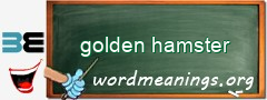 WordMeaning blackboard for golden hamster